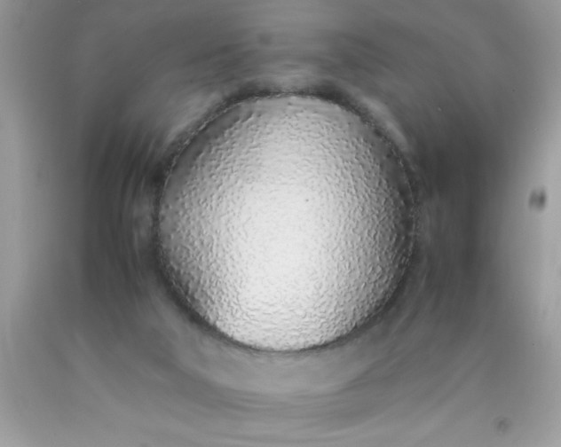 X0000090470018200707272308