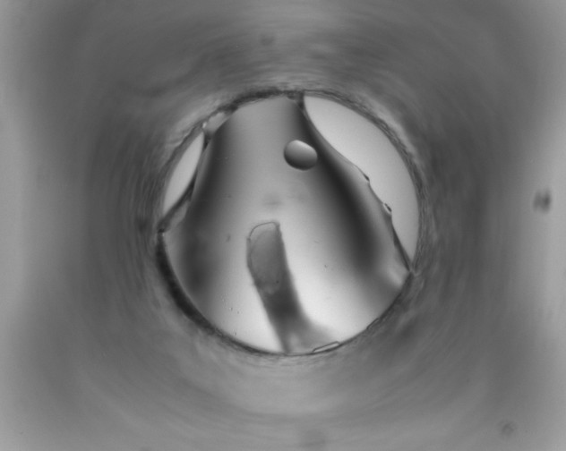 X0000090470019200707272308