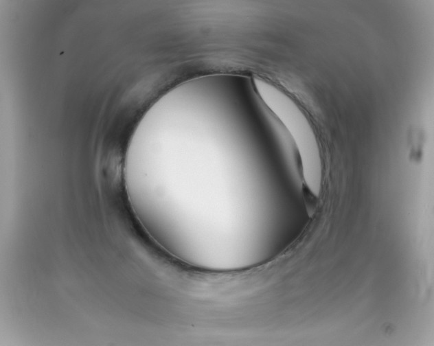 X0000090470021200707272307