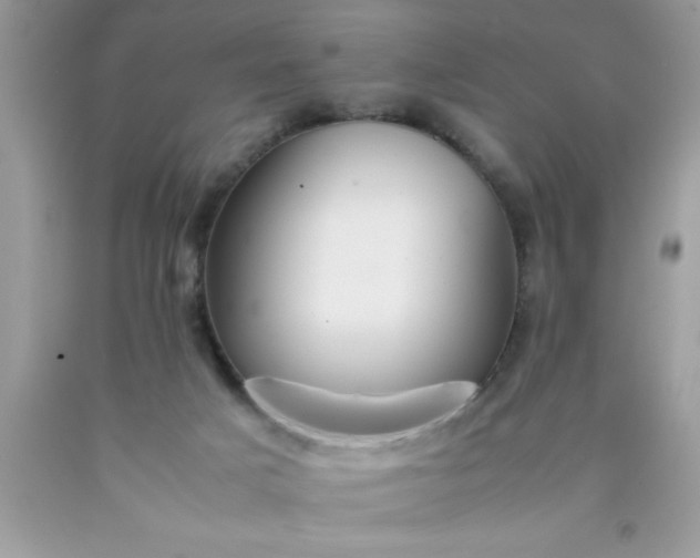 X0000090470025200707272307