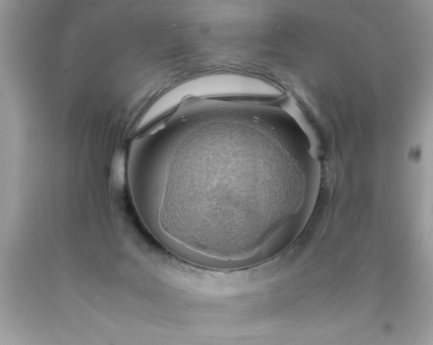 X0000090470027200707272307