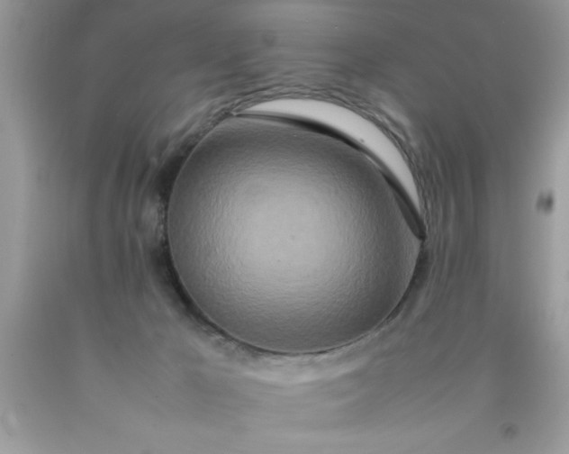 X0000090470029200707272307