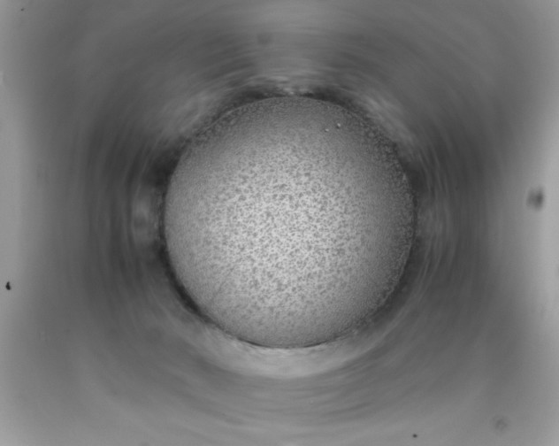 X0000090470030200707272307