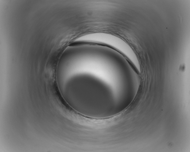 X0000090470031200707272307