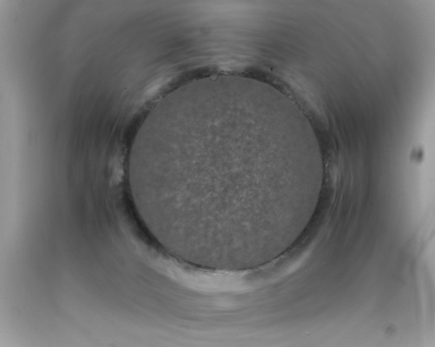 X0000090470032200707272307