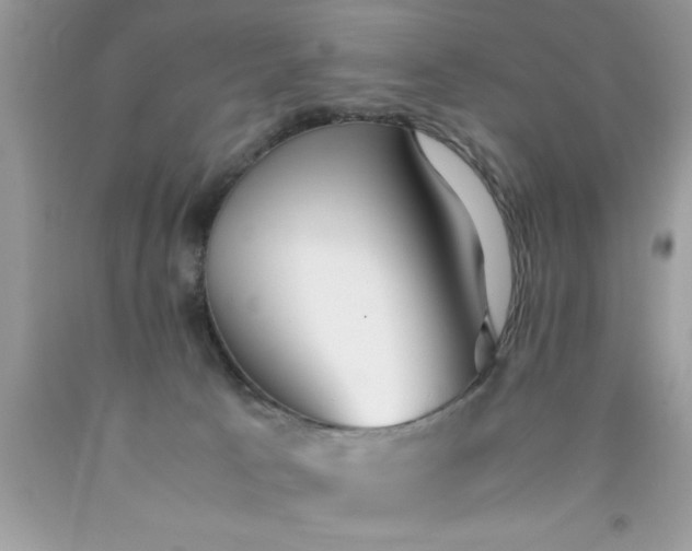 X0000090470033200707272307