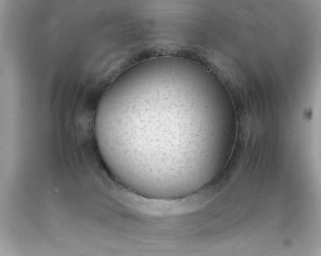 X0000090470034200707272307