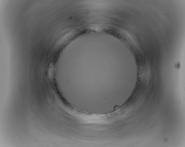 X0000090470036200707272307