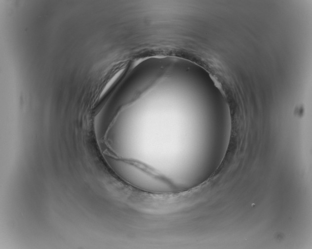 X0000090470037200707272307