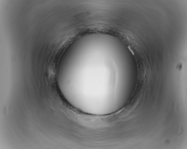 X0000090470040200707272307