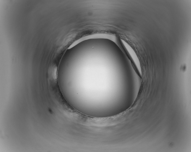 X0000090470041200707272307