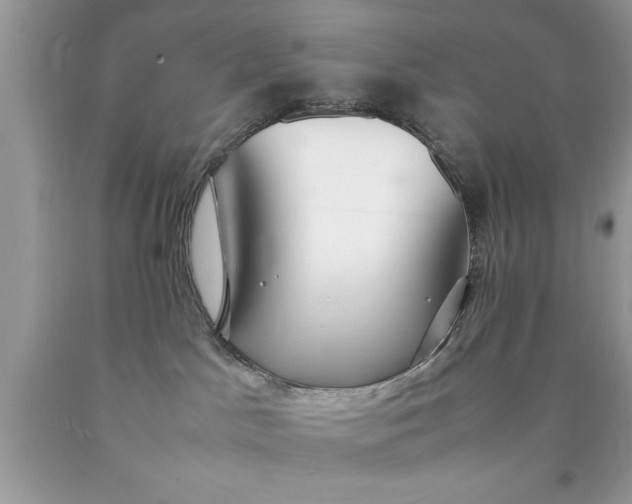 X0000090470045200707272307