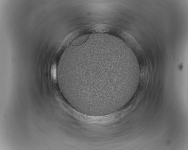 X0000090470046200707272307