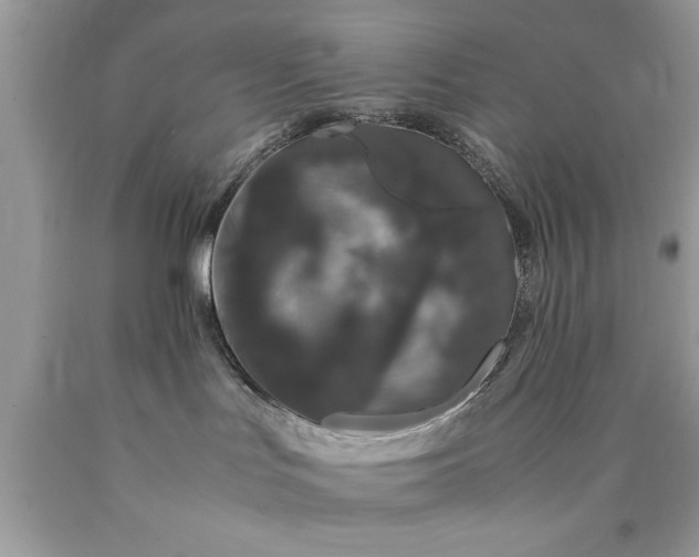 X0000090470047200707272307