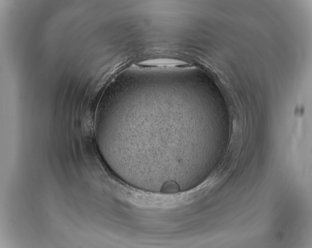 X0000090470048200707272307