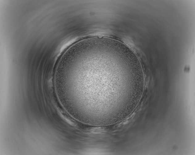 X0000090470050200707272307