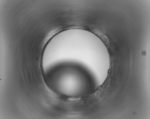 X0000090470051200707272307