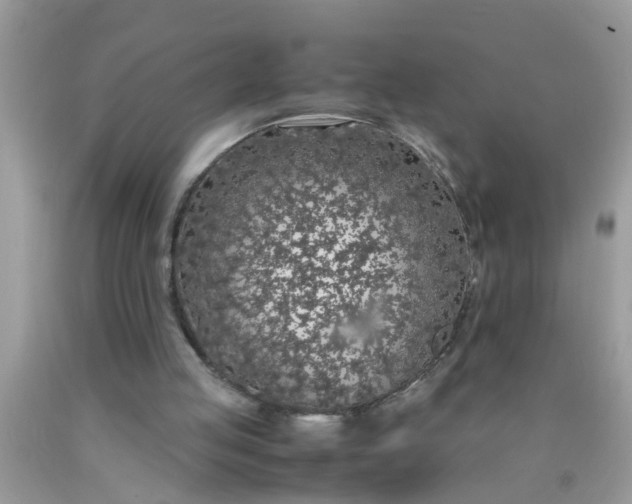 X0000090470053200707272307