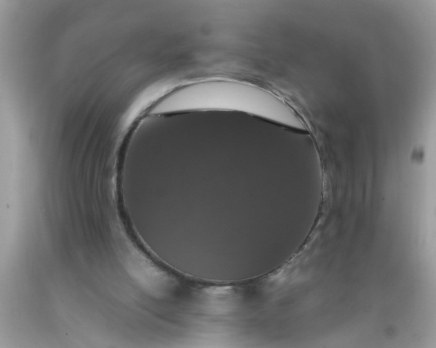 X0000090470054200707272307