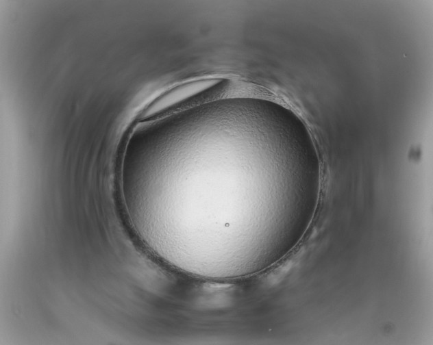 X0000090470055200707272307