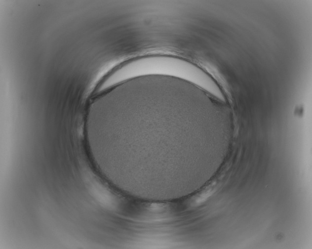 X0000090470060200707272307