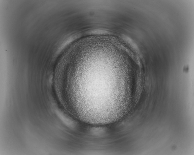 X0000090470063200707272307