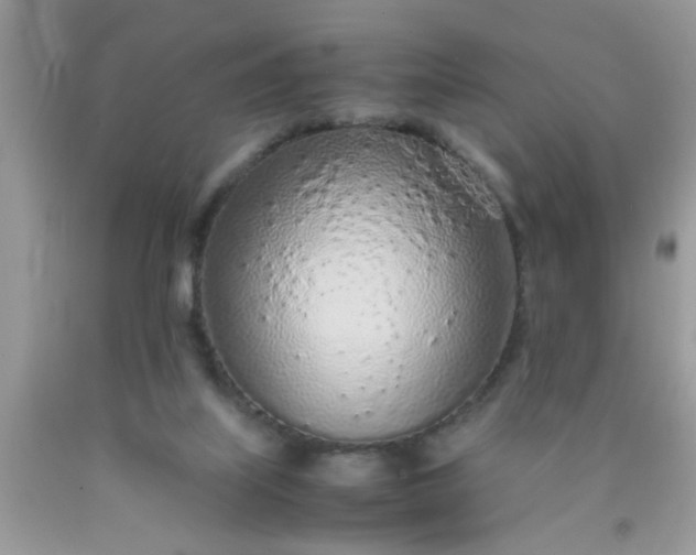 X0000090470067200707272307