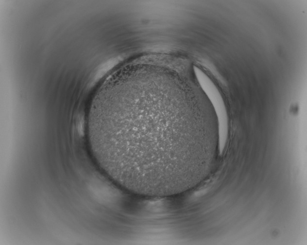 X0000090470068200707272307