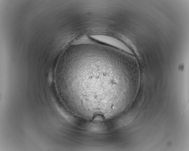 X0000090470069200707272307