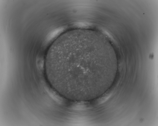 X0000090470072200707272307