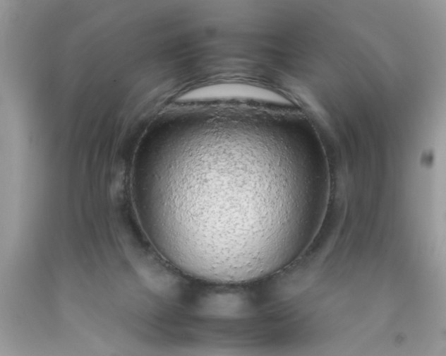 X0000090470073200707272307