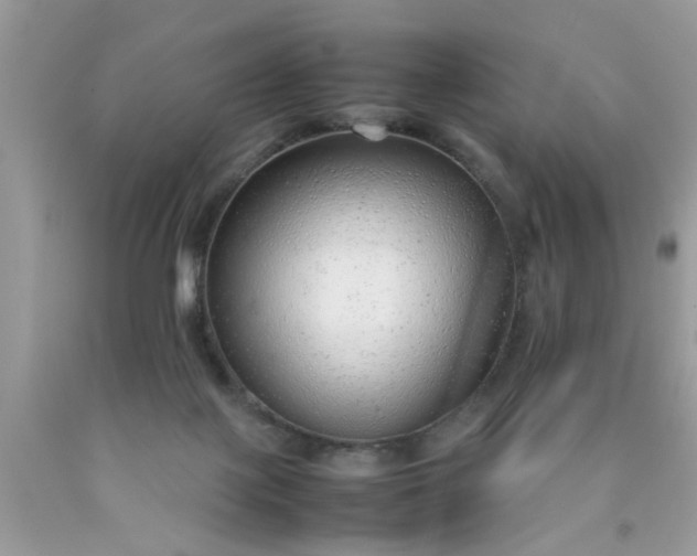 X0000090470075200707272307