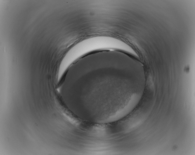 X0000090470076200707272307