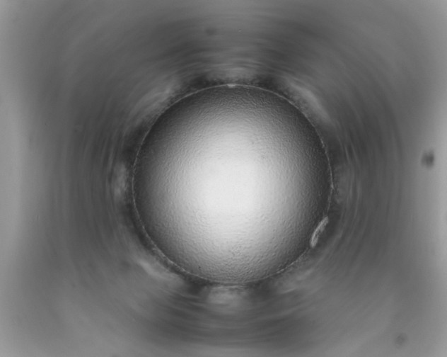 X0000090470077200707272307