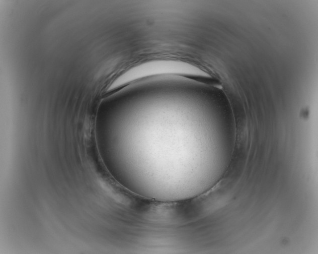 X0000090470078200707272307