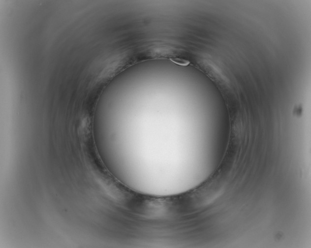 X0000090470079200707272307