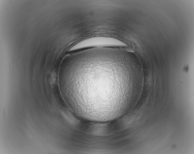 X0000090470081200707272307