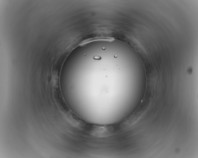 X0000090470083200707272307