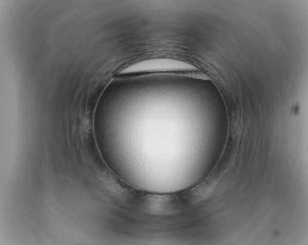 X0000090470085200707272307