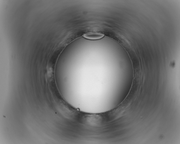 X0000090470087200707272307