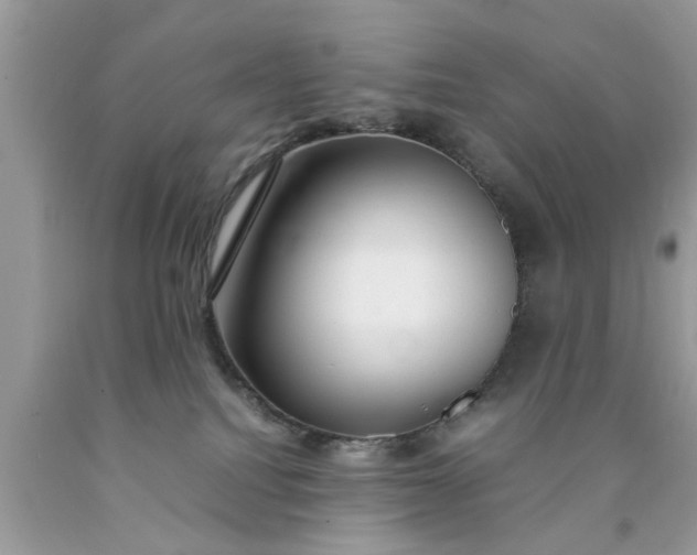 X0000090470088200707272307