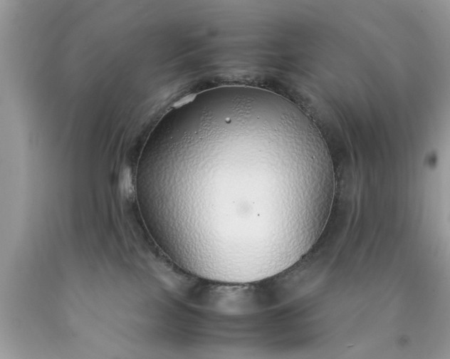 X0000090470089200707272307