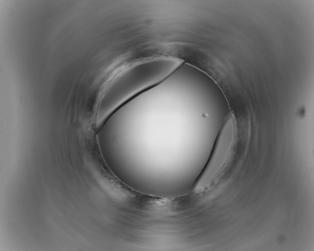 X0000090470092200707272307