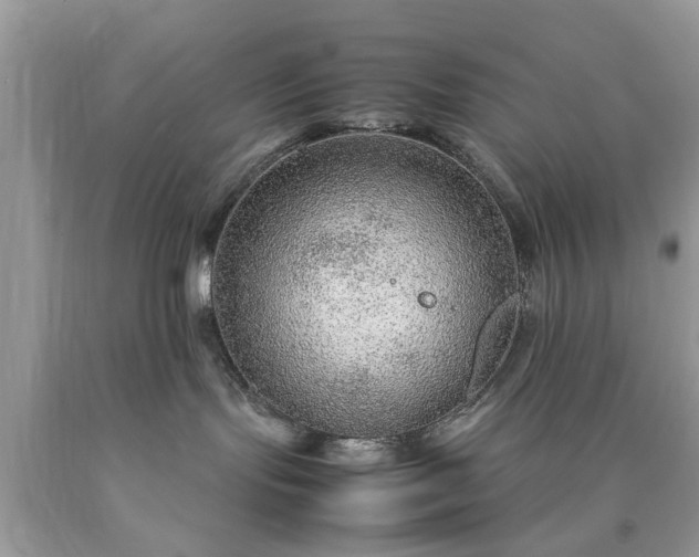 X0000090470095200707272307