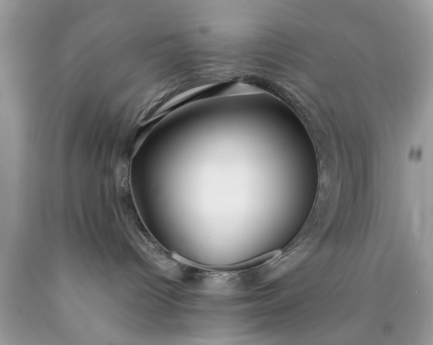 X0000090470096200707272307