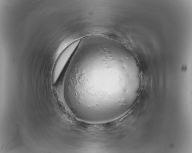 X0000090470099200707272307