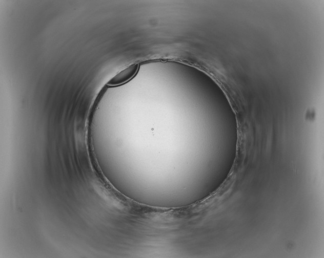 X0000090470100200707272307