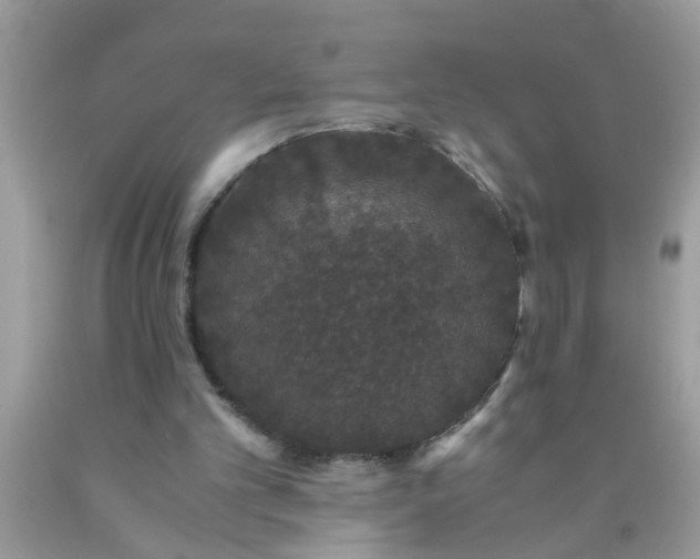 X0000090470101200707272306