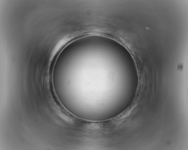 X0000090470102200707272306