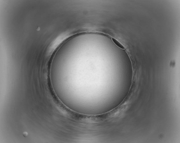 X0000090470103200707272306